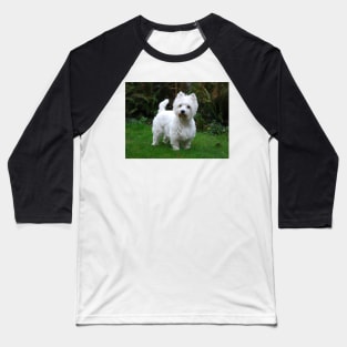 Westie Baseball T-Shirt